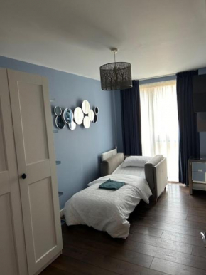 Spacious Single Room